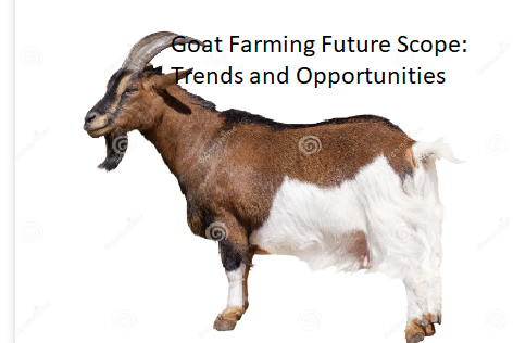Goat Farming Future Scope: Trends and Opportunities Goat Farming Future Scope: Trends and Opportunities