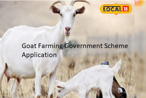 Goat Farming Government Scheme Application Goat Farming Government Scheme Application