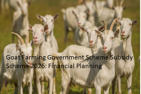 Goat Farming Government Scheme Subsidy Scheme 2026: Financial Planning Goat Farming Government Scheme Subsidy Scheme 2026: Financial Planning