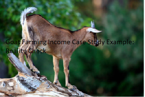 Goat Farming Income Case Study Example: Reality Check Goat Farming Income Case Study Example: Reality Check
