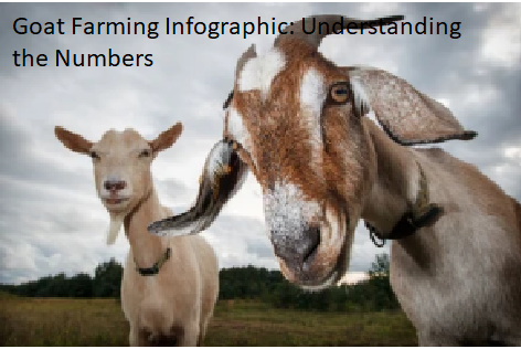 Goat Farming Infographic: Understanding the Numbers Goat Farming Infographic: Understanding the Numbers