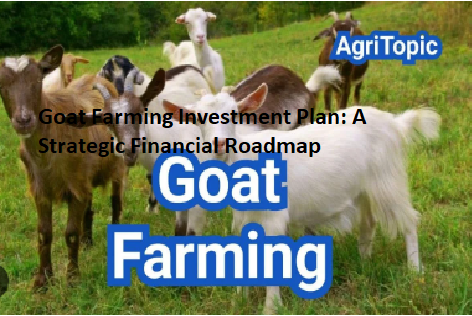 Goat Farming Investment Plan: A Strategic Financial Roadmap Goat Farming Investment Plan: A Strategic Financial Roadmap