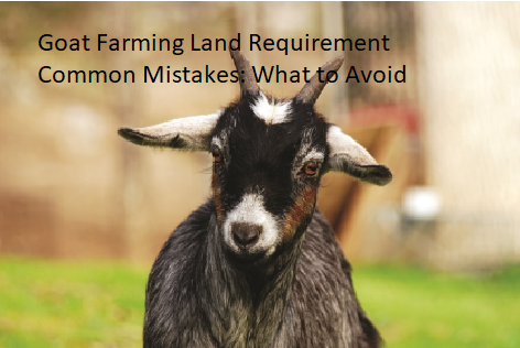 Goat Farming Land Requirement Common Mistakes: What to Avoid
