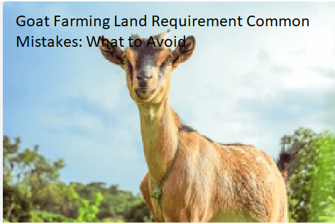 Goat Farming Land Requirement Common Mistakes: What to Avoid