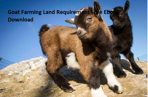 Goat Farming Land Requirement Free Ebook Download