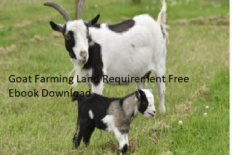 Goat Farming Land Requirement Free Ebook Download