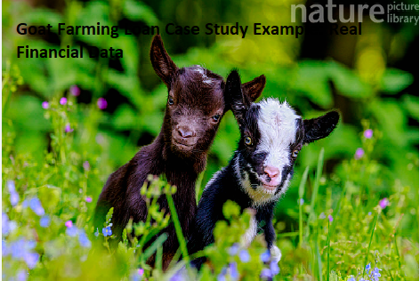 Goat Farming Loan Business Plan Sample: Financial Essentials Goat Farming Loan Business Plan Sample: Financial Essentials