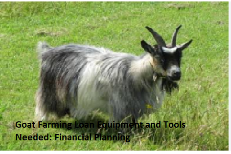 Goat Farming Loan Equipment and Tools Needed: Financial Planning