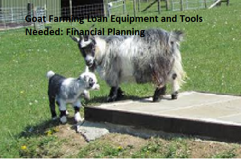 Goat Farming Loan Equipment and Tools Needed: Financial Planning
