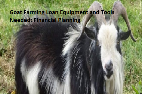 Goat Farming Loan Equipment and Tools Needed: Financial Planning Goat Farming Loan Equipment and Tools Needed: Financial Planning