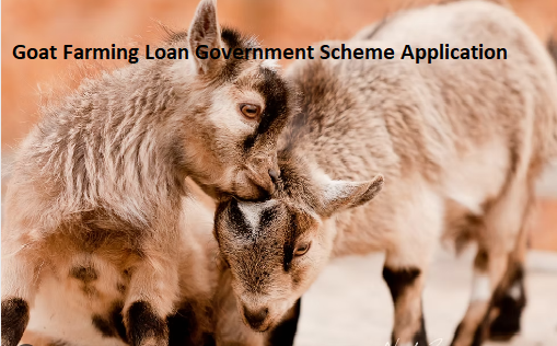 Goat Farming Loan Government Scheme Application