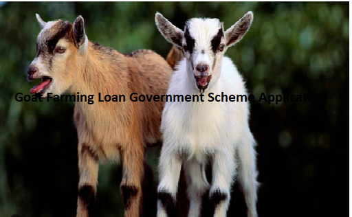 Goat Farming Loan Government Scheme Application