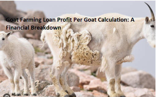 Goat Farming Loan Profit Per Goat Calculation: A Financial Breakdown