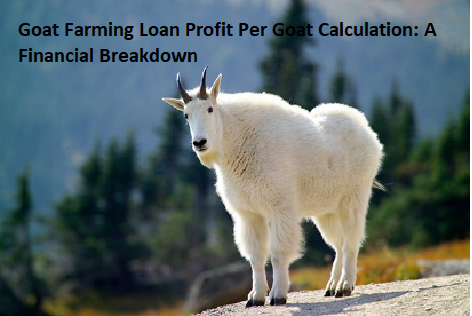 Goat Farming Loan Profit Per Goat Calculation: A Financial Breakdown