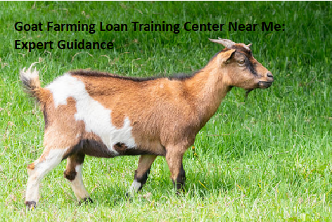 Goat Farming Loan Training Center Near Me: Expert Guidance