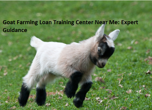 Goat Farming Loan Training Center Near Me: Expert Guidance