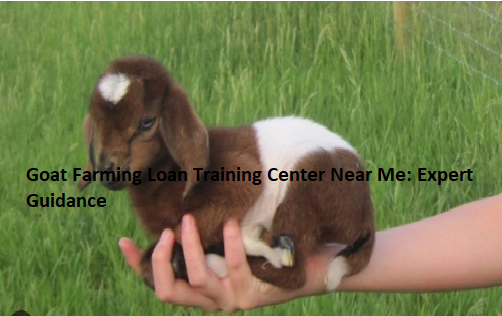 Goat Farming Loan Training Center Near Me: Expert Guidance Goat Farming Loan Training Center Near Me: Expert Guidance