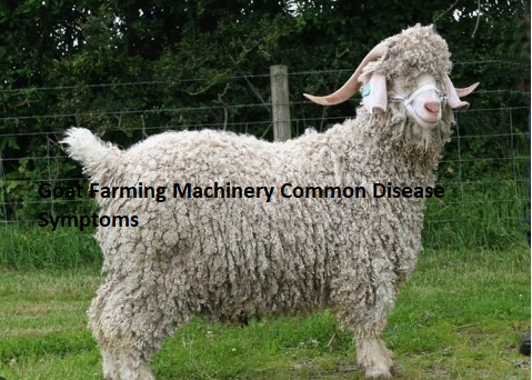 Goat Farming Machinery Common Disease Symptoms Goat Farming Machinery Common Disease Symptoms