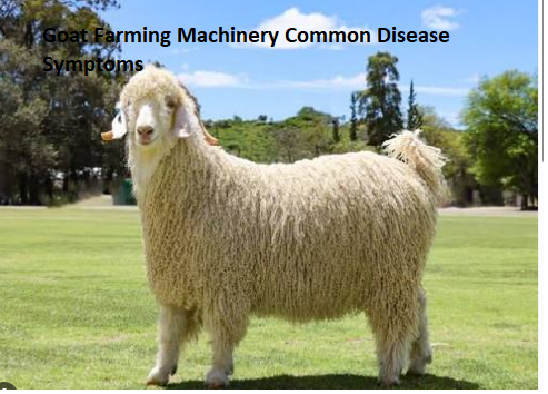 Goat Farming Machinery Common Disease Symptoms