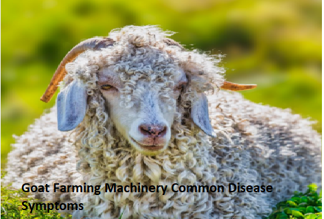 Goat Farming Machinery Common Disease Symptoms