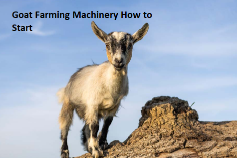 Goat Farming Machinery How to Start