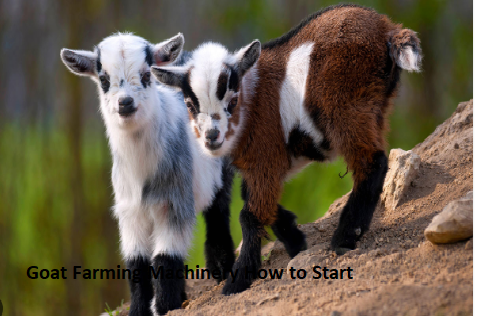 Goat Farming Machinery How to Start