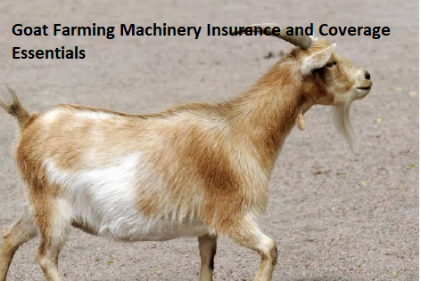 Goat Farming Machinery Insurance and Coverage Essentials