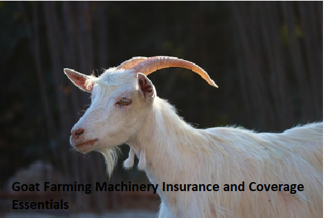 Goat Farming Machinery Insurance and Coverage Essentials