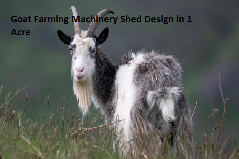 Goat Farming Machinery Shed Design in 1 Acre