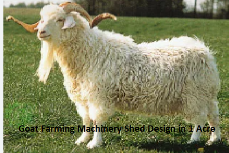 Goat Farming Machinery Shed Design in 1 Acre