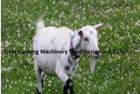 Goat Farming Machinery Shed Design in 1 Acre