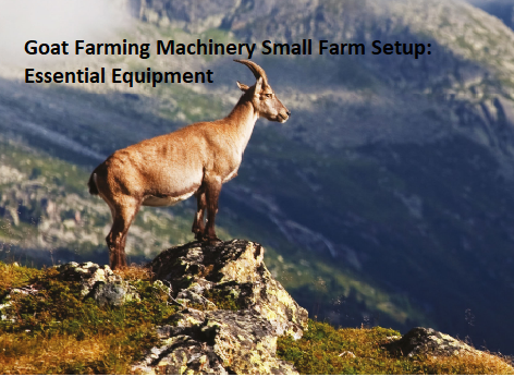 Goat Farming Machinery Small Farm Setup: Essential Equipment