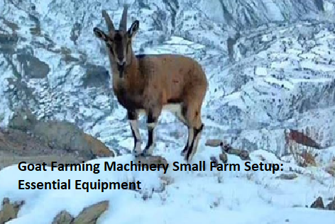 Goat Farming Machinery Small Farm Setup: Essential Equipment