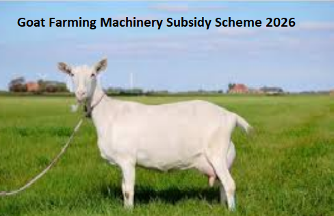 Goat Farming Machinery Subsidy Scheme 2026