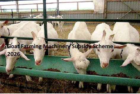 Goat Farming Machinery Subsidy Scheme 2026 Goat Farming Machinery Subsidy Scheme 2026
