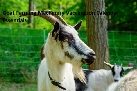 Goat Farming Machinery Vaccination Calendar Essentials