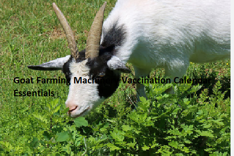 Goat Farming Machinery Vaccination Calendar Essentials Goat Farming Machinery Vaccination Calendar Essentials