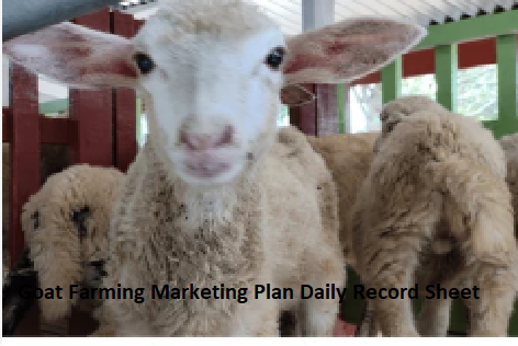 Goat Farming Marketing Plan Daily Record Sheet