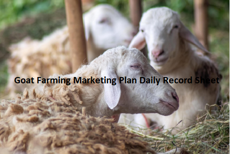 Goat Farming Marketing Plan Daily Record Sheet Goat Farming Marketing Plan Daily Record Sheet