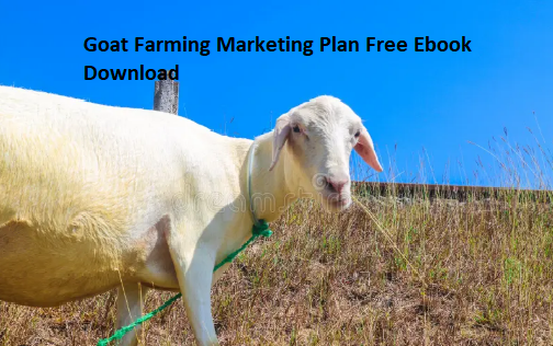 Goat Farming Marketing Plan Free Ebook Download