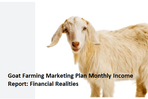 Goat Farming Marketing Plan Monthly Income Report: Financial Realities Goat Farming Marketing Plan Monthly Income Report: Financial Realities