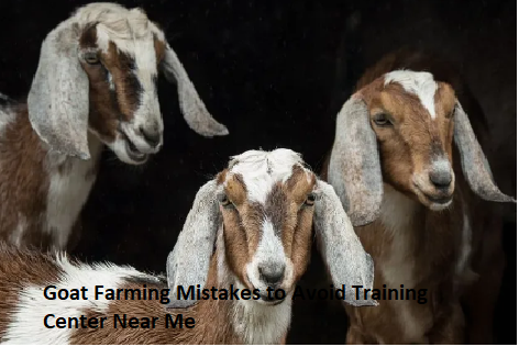 Goat Farming Mistakes to Avoid Training Center Near Me