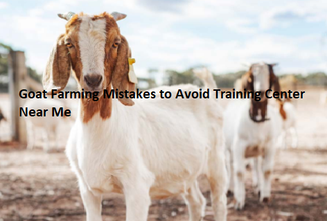 Goat Farming Mistakes to Avoid Training Center Near Me