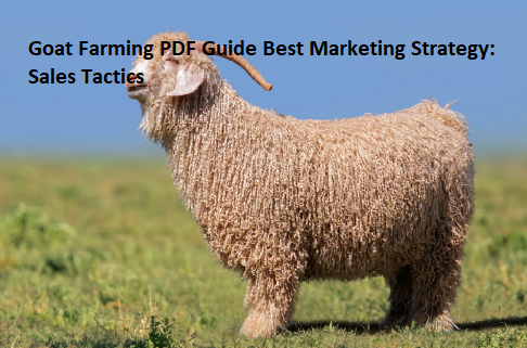 Goat Farming PDF Guide Best Marketing Strategy: Sales Tactics