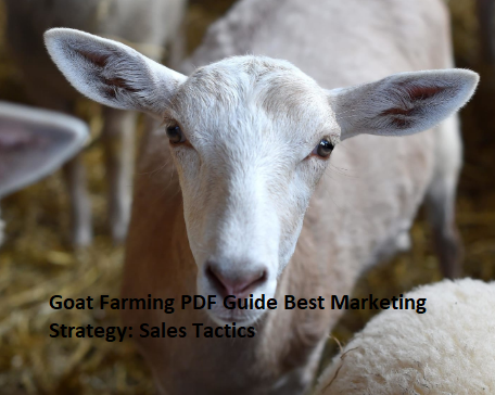 Goat Farming PDF Guide Best Marketing Strategy: Sales Tactics