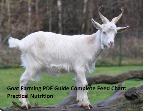 Goat Farming PDF Guide Complete Feed Chart: Practical Nutrition