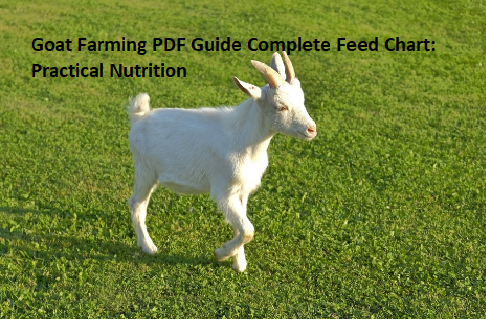 Goat Farming PDF Guide Complete Feed Chart: Practical Nutrition