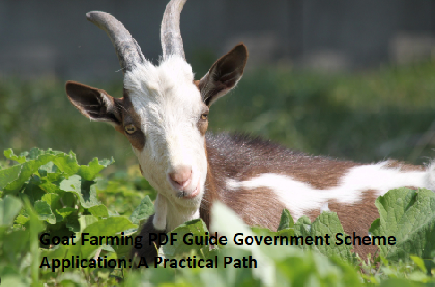 Goat Farming PDF Guide Government Scheme Application: A Practical Path