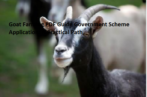 Goat Farming PDF Guide Government Scheme Application: A Practical Path