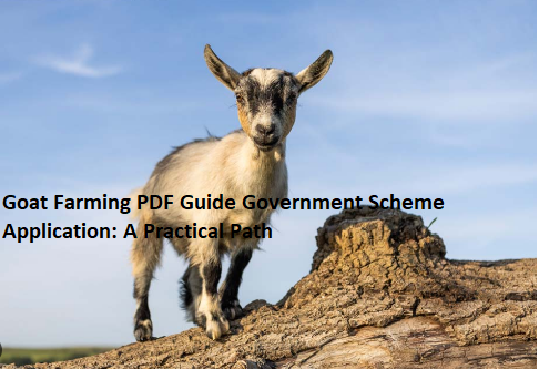 Goat Farming PDF Guide Government Scheme Application: A Practical Path Goat Farming PDF Guide Government Scheme Application: A Practical Path